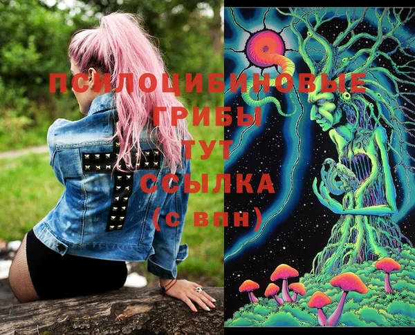 молекула духа Верея