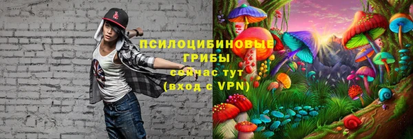 герыч Верхний Тагил