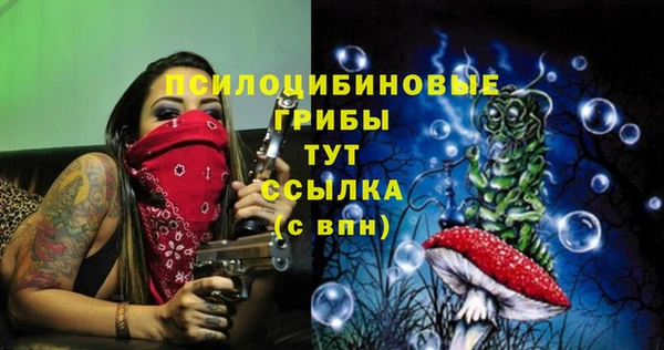 молекула духа Верея