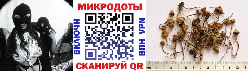 Галлюциногенные грибы мухоморы  Далматово 